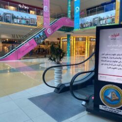 أمانة الرياض” تقدّم 6 إرشادات للحد من تكاثر البعوض ونواقل الأوبئة