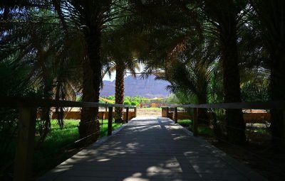 واحة “‫ديمومة‬”.. إحدى أبرز ‫المواقع التي يقصدها زوار العلا في فصل الصيف