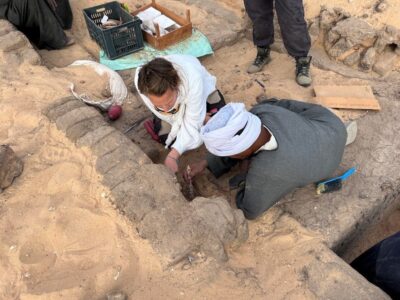 العثور على جرار نبيذ معتق منذ 5000 عام في سوهاج بمقبرة ملكة فى مصر