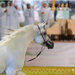الرياض تحتضن مؤتمر سلاسل الإمداد والخدمات اللوجستية