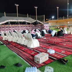 انجازات ابناء المملكه في مهرجان الابل في دوله قطر