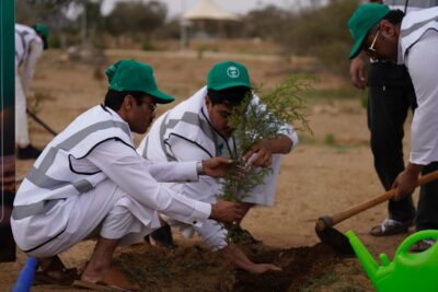 بمناسبة يوم السعودية الخضراء 10 مليارات شجرة حلم يتحقق    