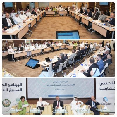 استكمال السوق العربية المشتركة للكهرباء خلال ١٣عامًا بعد موافقة ٢٢دولة على المشروع