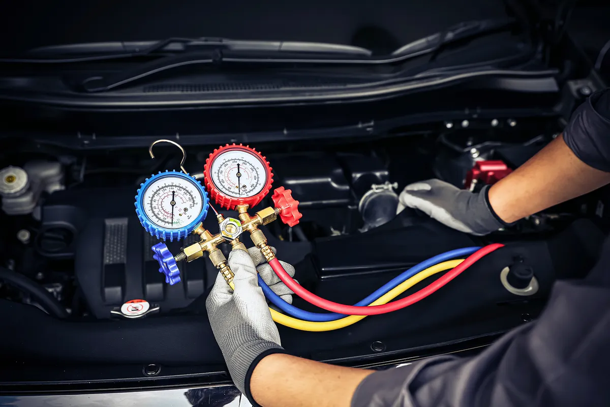 electric vehicles — SA news