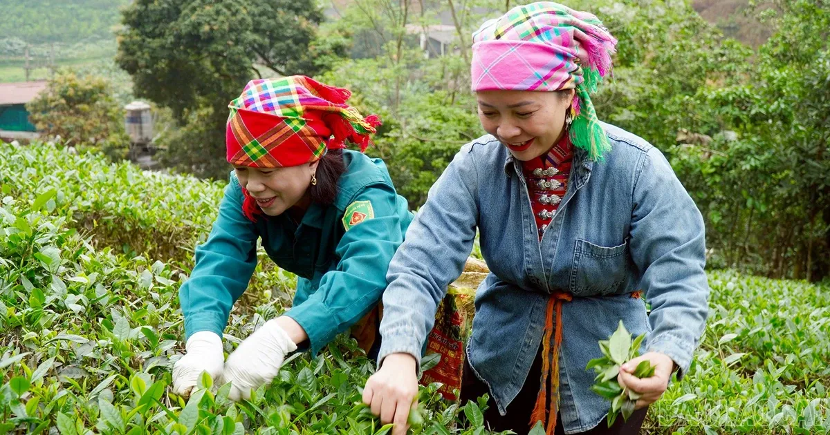 حلول — SA news