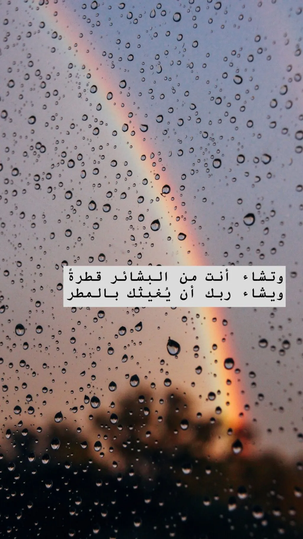 المطر — SA news