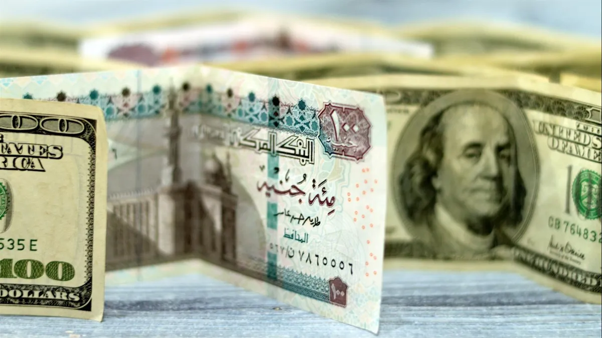 سعر الدولار مقابل الجنيه المصري — SA news