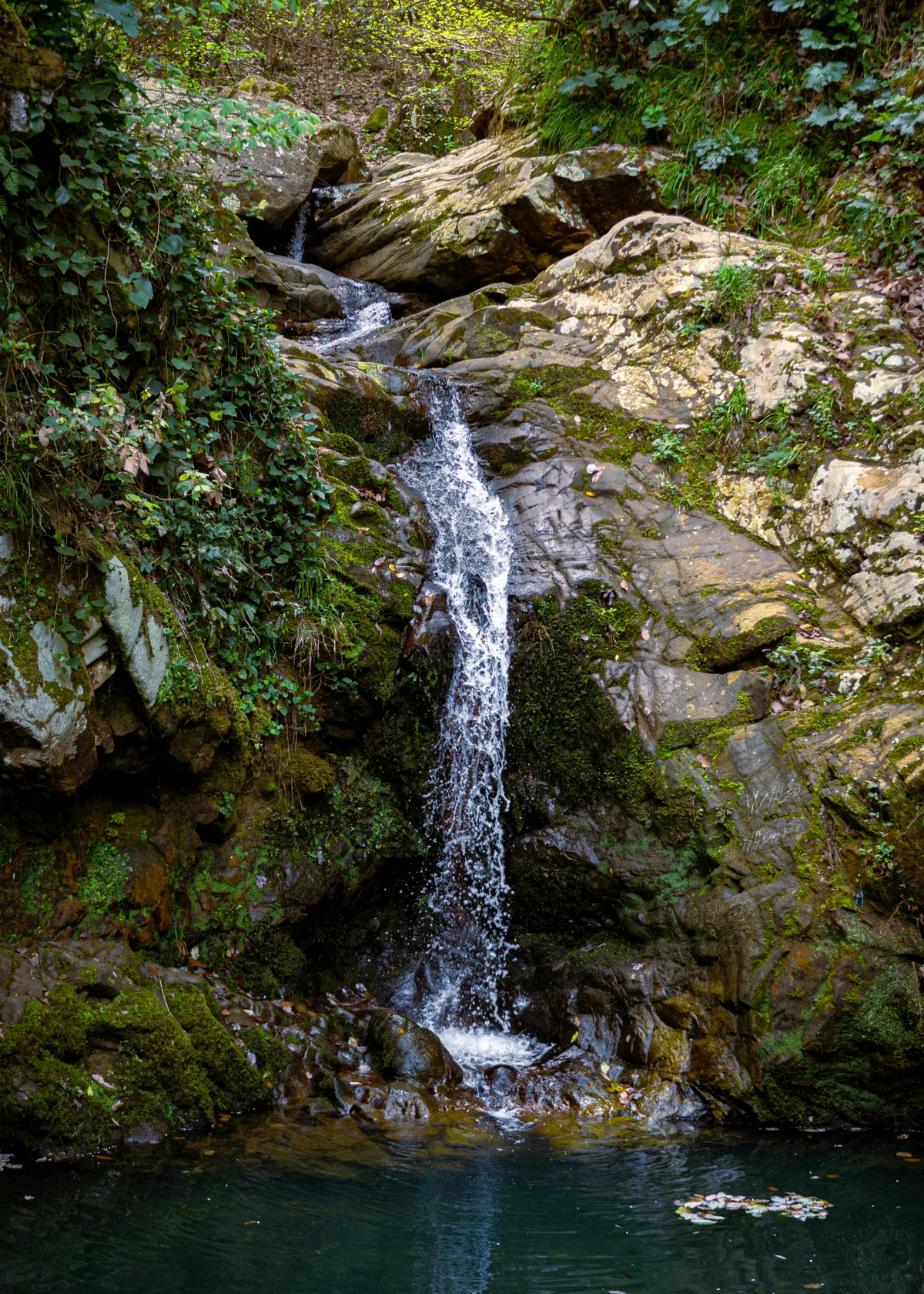 حوطة بني تميم — SA news