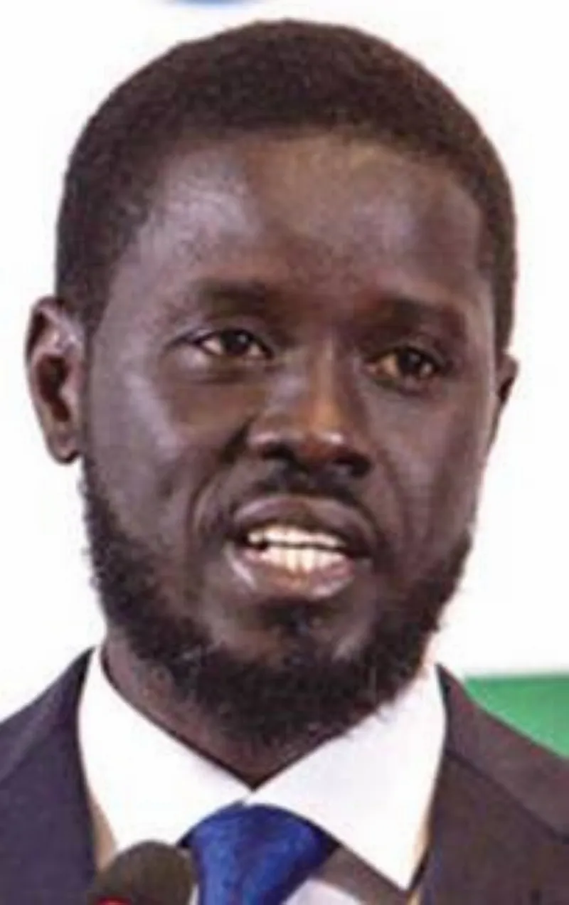 السنغال — SA news