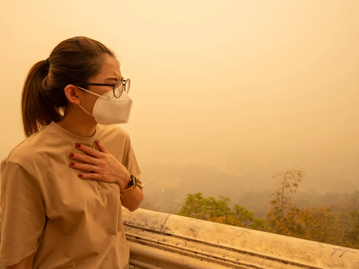 قياس. — SA news