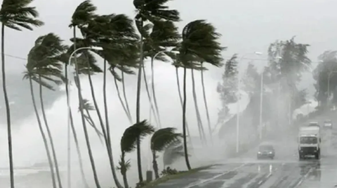 عاصفة رعدية — SA news