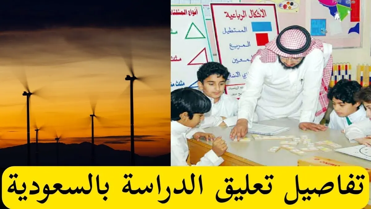 تعليق الدراسة غدا — SA news