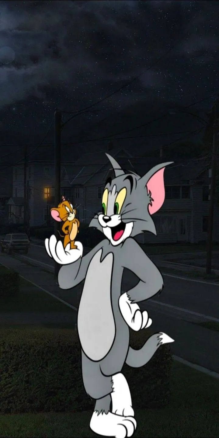 توم وجيري — SA news