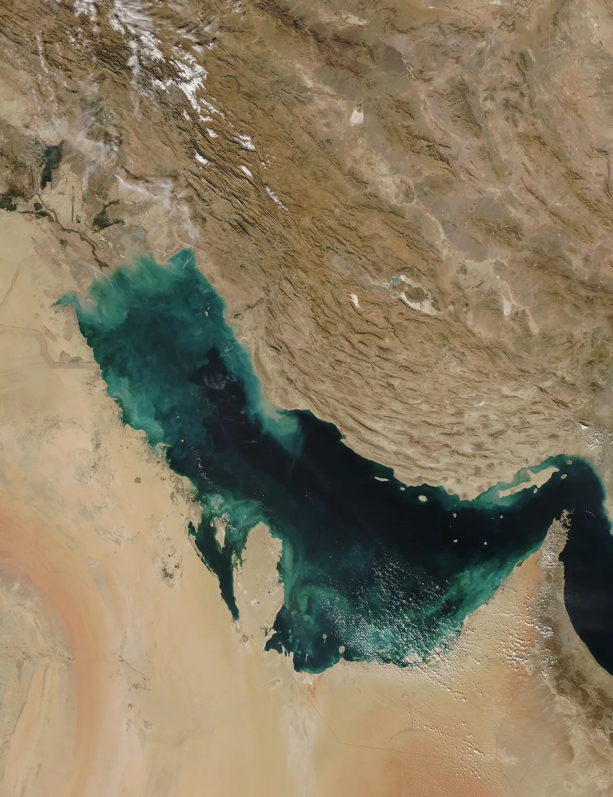 الخليج — SA news