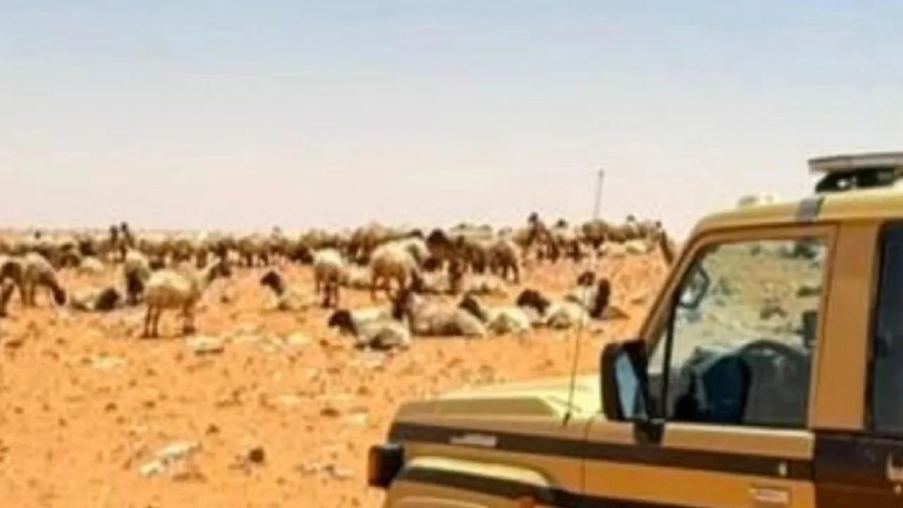 ما حقيقة عدم قص كوكوريلا شعره بسبب نجله المريض بالتوحد؟
